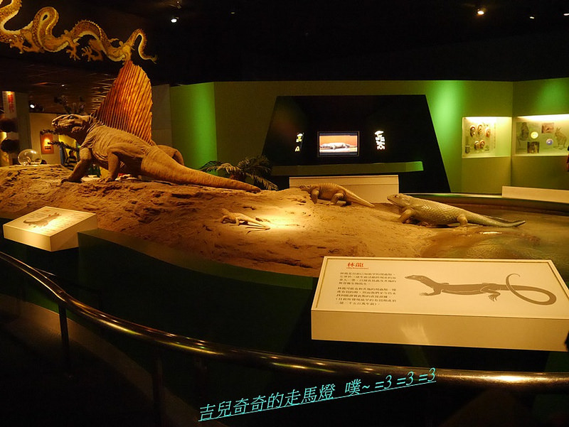 國立科學博物館 恐龍蛋 蛋恐龍