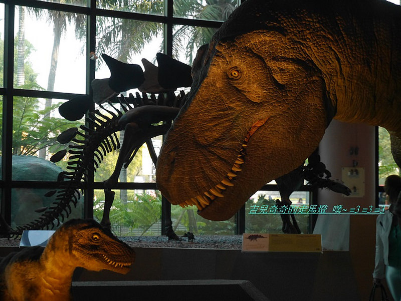 國立科學博物館 恐龍蛋 誕恐龍